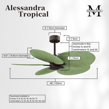 Matthews Fans Alessandra Tropical 48in 5-Blade Ceiling Fan | Transitional Textured Bronze and Palm Leaf ABS | Covered Patio | Model AKTP-TB-PL