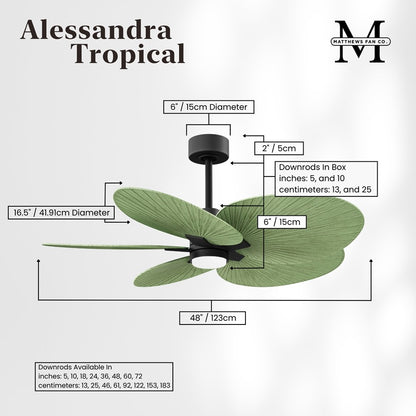 Matthews Fan Alessandra Tropical 48in 5-Blade Ceiling Fan | Transitional Matte Black and Palm Leaf ABS | Covered Patio & Open | Model AKTPLK-BK-PL