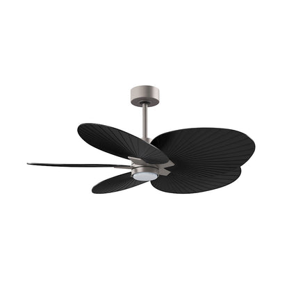 Matthews Fan Alessandra Tropical 48in 5-Blade Ceiling Fan | Transitional Brushed Nickel and Matte Black ABS | Covered Patio | Model AKTPLK-BN-BK