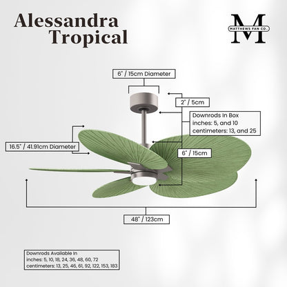 Matthews Fans Alessandra Tropical 48in 5-Blade Ceiling Fan | Transitional Brushed Nickel and Palm Leaf ABS | Covered Patio | Model AKTPLK-BN-PL