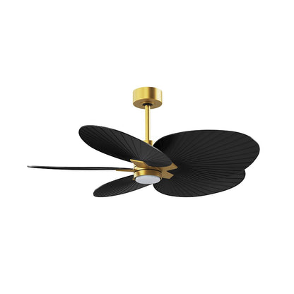 Matthews Fans Alessandra Tropical 48in 5-Blade Ceiling Fan | Brushed Brass and Matte Black ABS Blades | Covered Patio & Large | Model AKTPLK-BRBR-BK