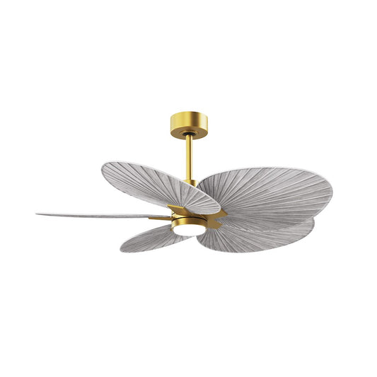 Matthews Fans Alessandra Tropical 48in 5-Blade Ceiling Fan | Transitional Brushed Brass and Barn Wood Tone ABS Blades | Model AKTPLK-BRBR-BW