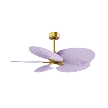 Matthews Fans Alessandra Tropical 48in 5-Blade Ceiling Fan | Transitional Brushed Brass and Lilac ABS Blades | Covered Patio | Model AKTPLK-BRBR-LI