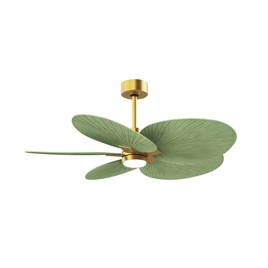 Matthews Fans Alessandra Tropical 48in 5-Blade Ceiling Fan | Brushed Brass and Palm Leaf ABS Blades | Covered Patio & Outdoor | Model AKTPLK-BRBR-PL