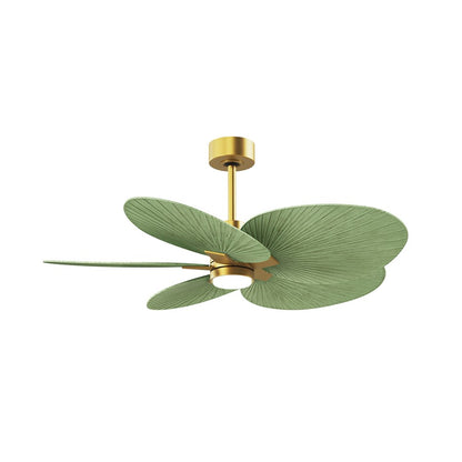 Matthews Fans Alessandra Tropical 48in 5-Blade Ceiling Fan | Brushed Brass and Palm Leaf ABS Blades | Covered Patio & Outdoor | Model AKTPLK-BRBR-PL
