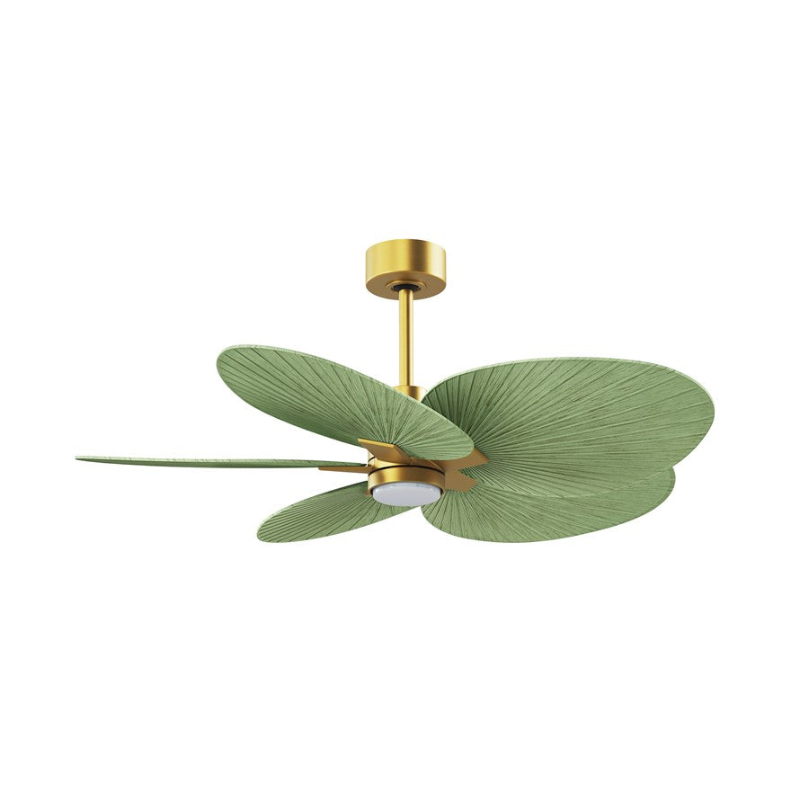 Matthews Fans Alessandra Tropical 48in 5-Blade Ceiling Fan | Brushed Brass and Palm Leaf ABS Blades | Covered Patio & Outdoor | Model AKTPLK-BRBR-PL