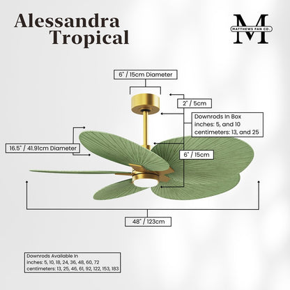 Matthews Fans Alessandra Tropical 48in 5-Blade Ceiling Fan | Brushed Brass and Palm Leaf ABS Blades | Covered Patio & Outdoor | Model AKTPLK-BRBR-PL