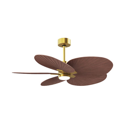Matthews Fans Alessandra Tropical 48in 5-Blade Ceiling Fan | Brushed Brass and Walnut Tone ABS Blades | Covered Patio | Model AKTPLK-BRBR-WN