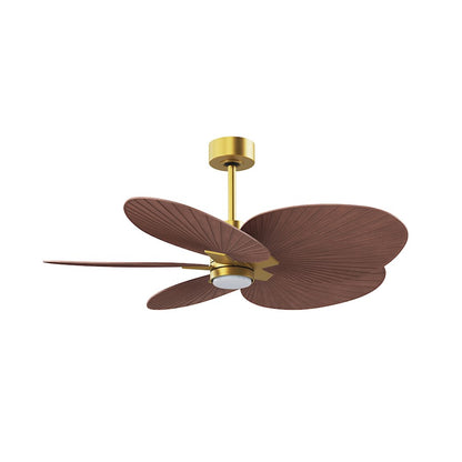 Matthews Fans Alessandra Tropical 48in 5-Blade Ceiling Fan | Brushed Brass and Walnut Tone ABS Blades | Covered Patio | Model AKTPLK-BRBR-WN
