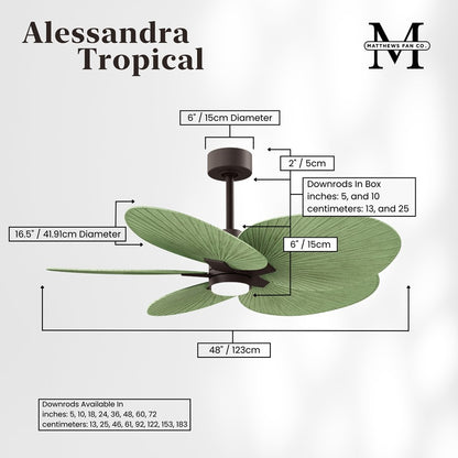 Matthews Fans Alessandra Tropical 48in 5-Blade Ceiling Fan | Textured Bronze and Palm Leaf ABS Blades | Covered Patio & Open | Model AKTPLK-TB-PL
