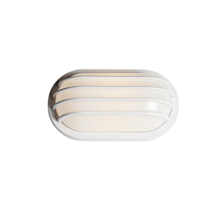 1 Light Outdoor Wall Sconce