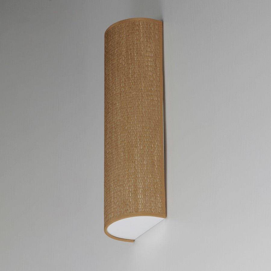1 Light Wall Sconce