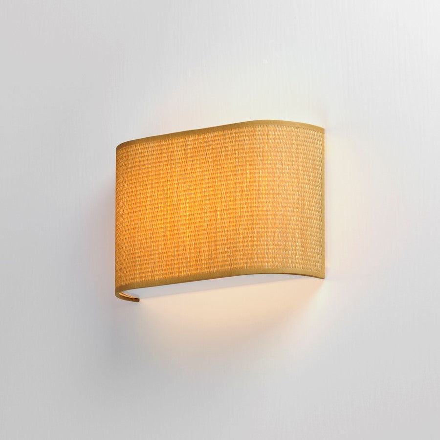 1 Light Wall Sconce