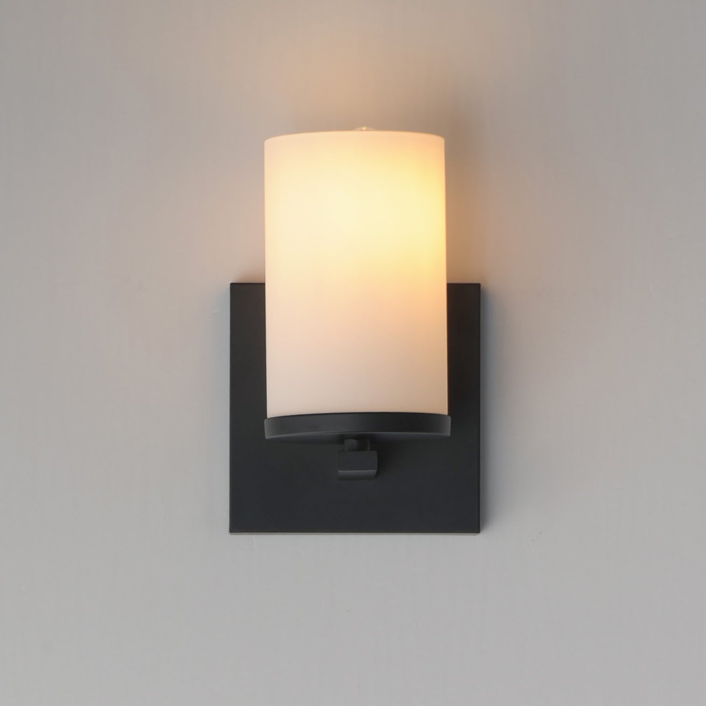 1 Light Wall Sconce