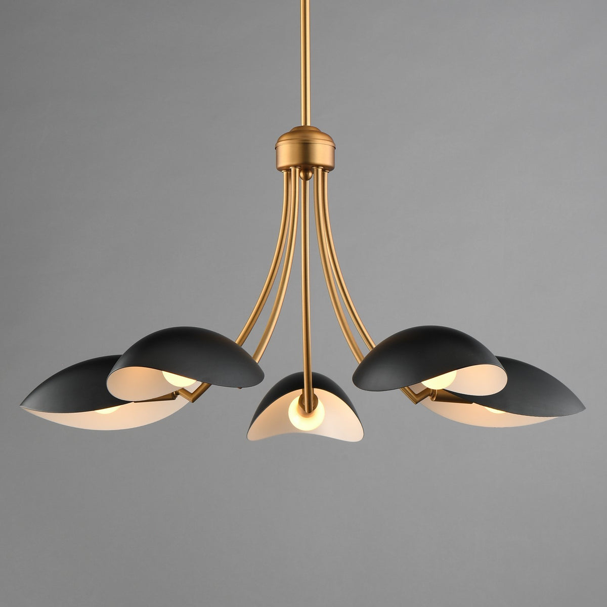 Maxim Lighting Maris 5Lt 14.25" Single-Tier Chandelier, Black/Brass