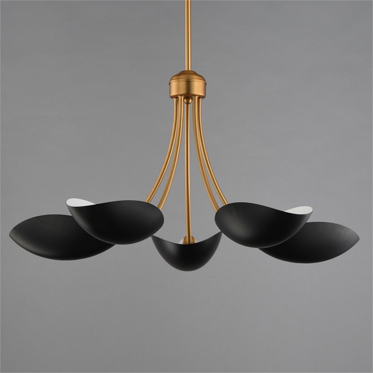 Maxim Lighting Maris 5Lt 14.25" Single-Tier Chandelier, Black/Brass
