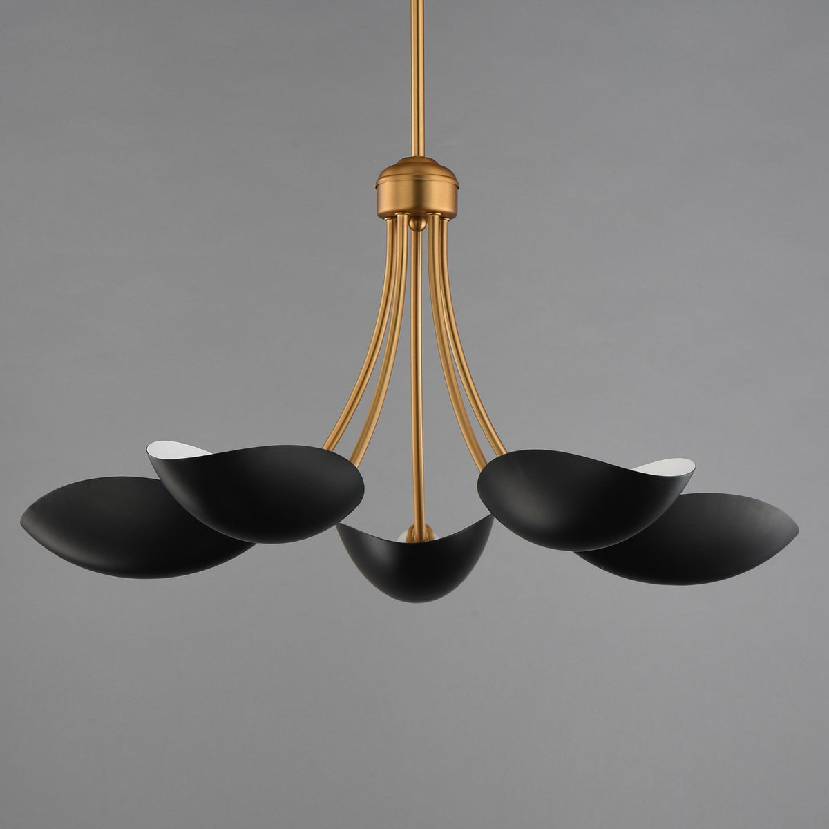 Maxim Lighting Maris 5Lt 14.25" Single-Tier Chandelier, Black/Brass