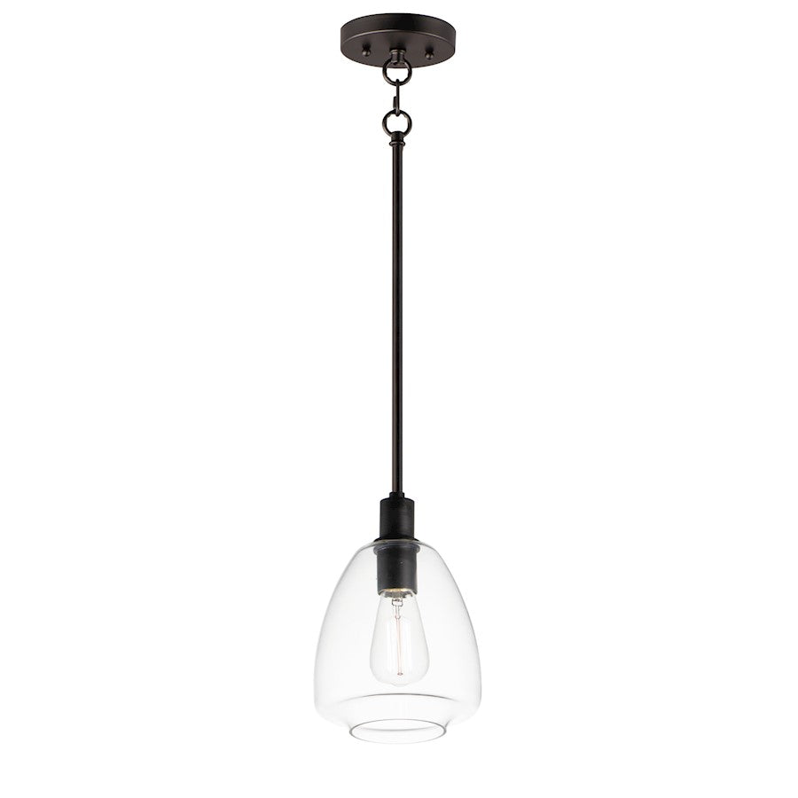 1 Light Pendant