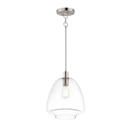 1 Light Pendant