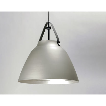 1 Light Pendant