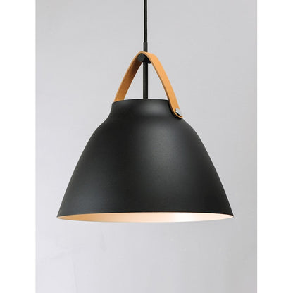 1 Light Pendant