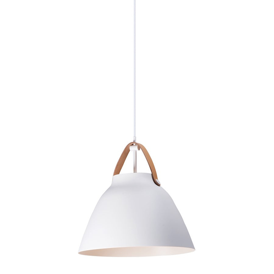 1 Light Pendant