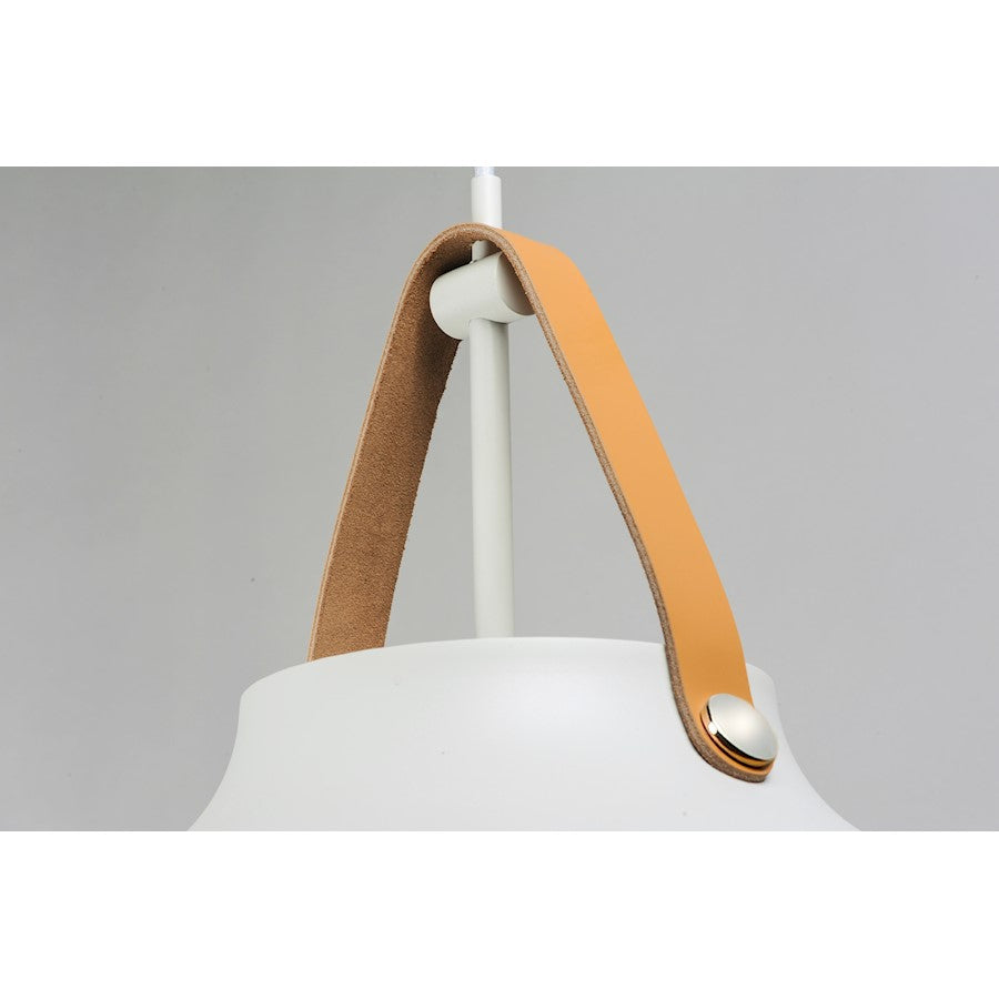 1 Light Pendant
