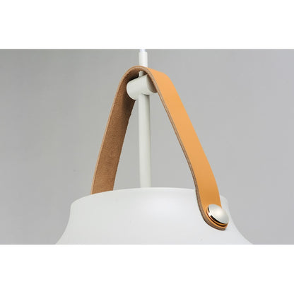 1 Light Pendant