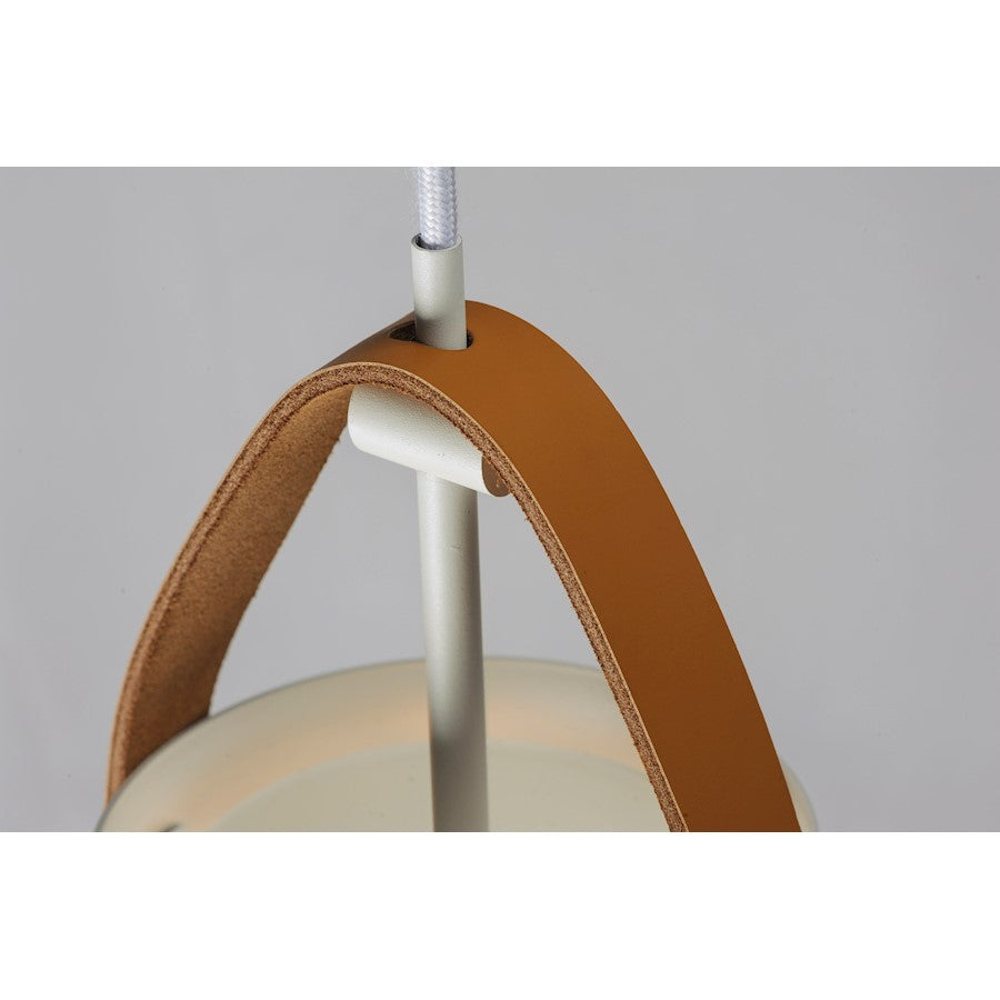 1 Light Pendant