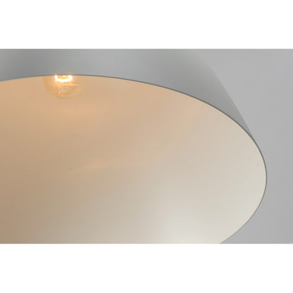 1 Light Pendant