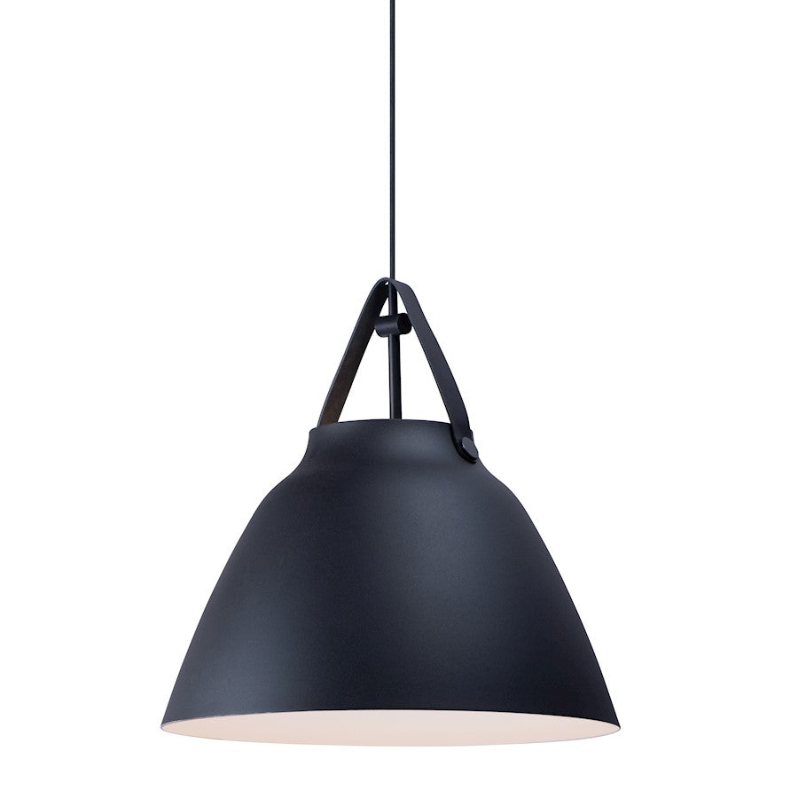1 Light Pendant