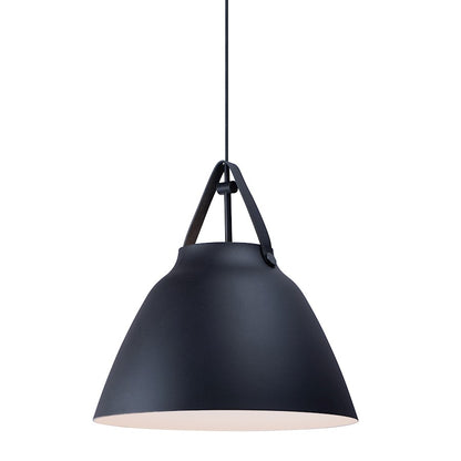 1 Light Pendant