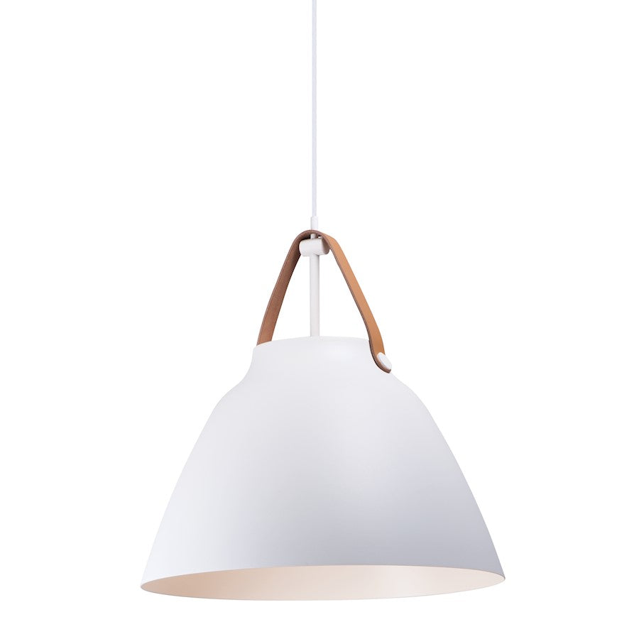 1 Light Pendant