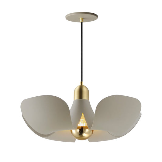 1 Light Pendant