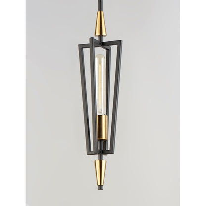 1 Light Pendant