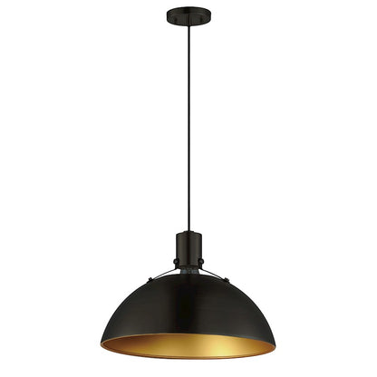 1 Light Pendant