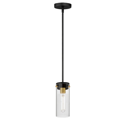 1 Light Pendant