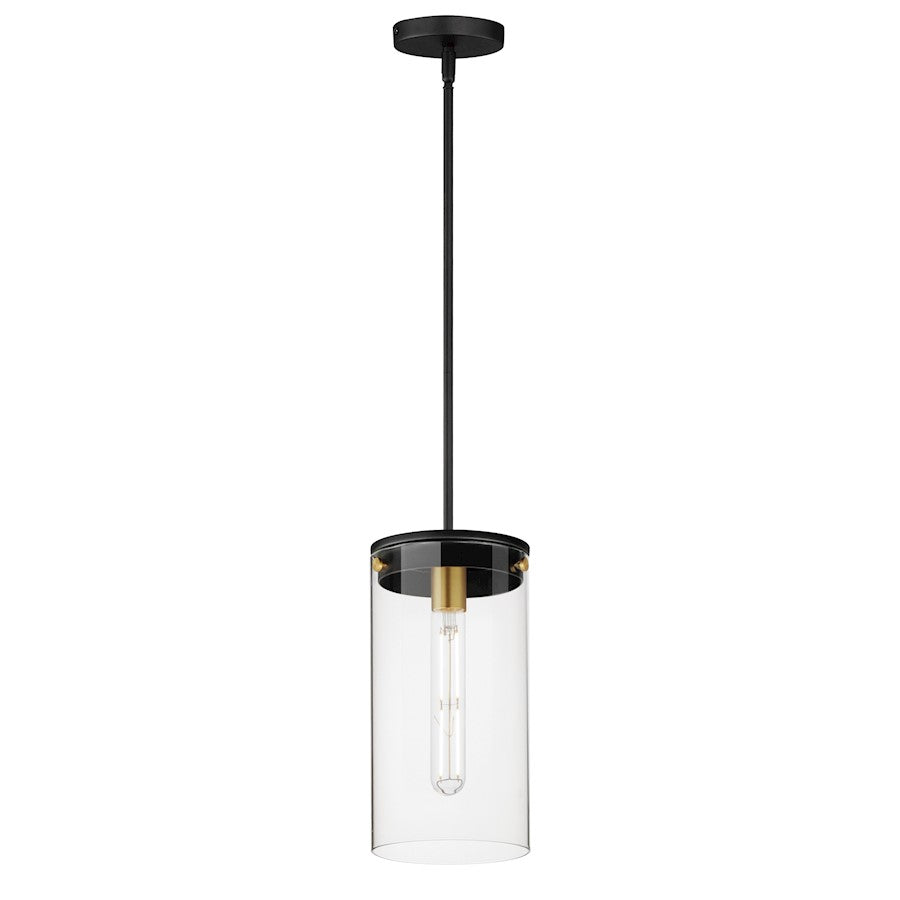 1 Light Pendant