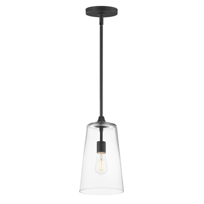 Maxim Lighting Hudson 1 Light 14.5" Single Pendant, Black/Clear