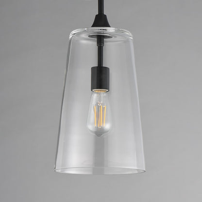 Maxim Lighting Hudson 1 Light 14.5" Single Pendant, Black/Clear