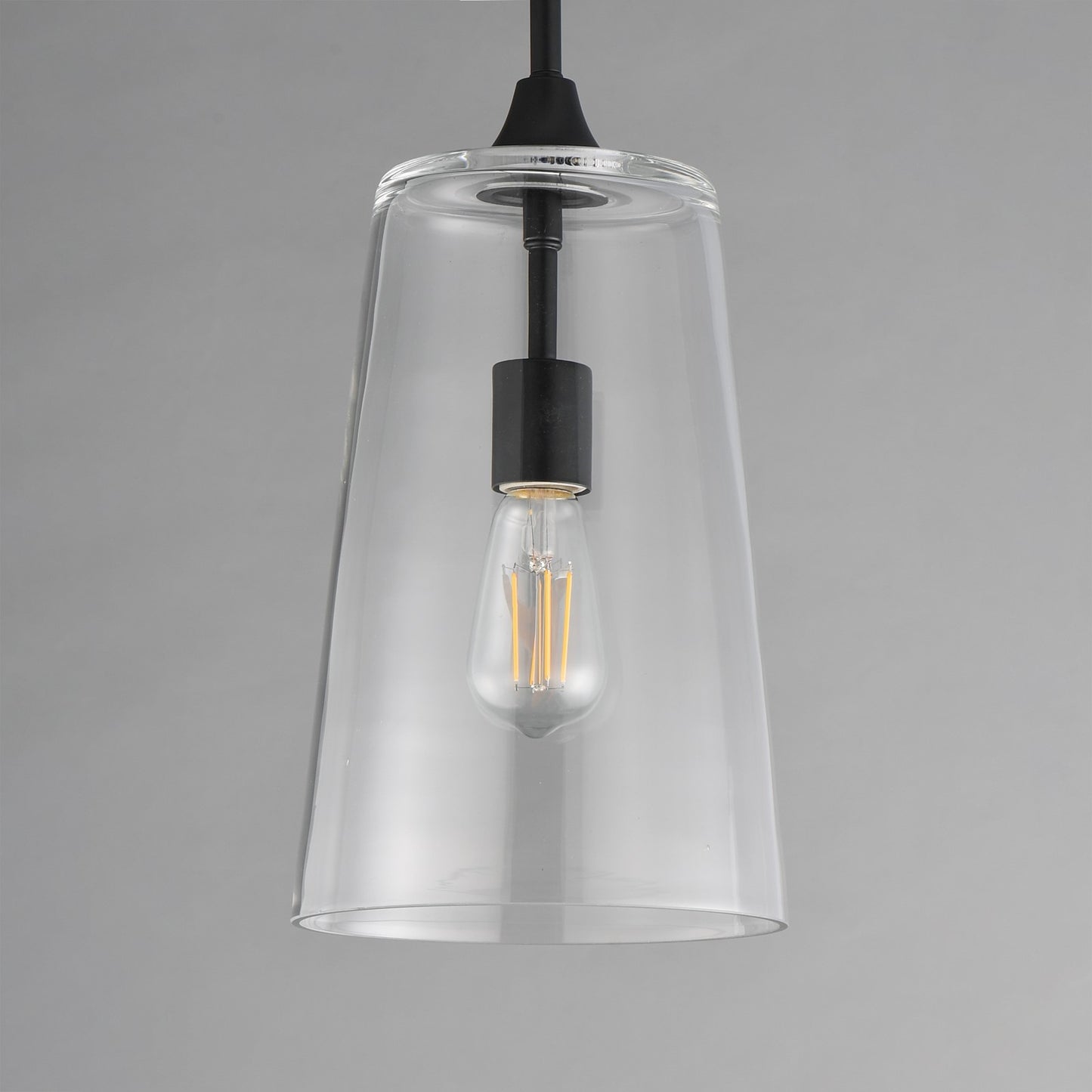 Maxim Lighting Hudson 1 Light 14.5" Single Pendant, Black/Clear
