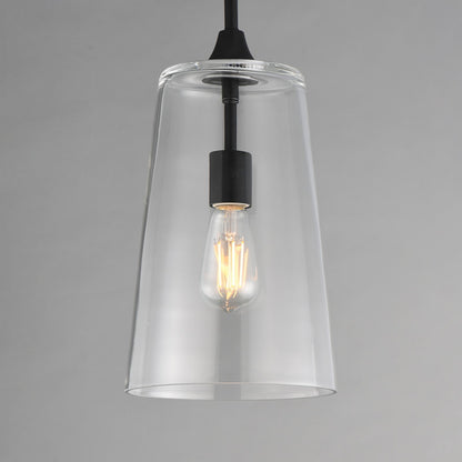 Maxim Lighting Hudson 1 Light 14.5" Single Pendant, Black/Clear