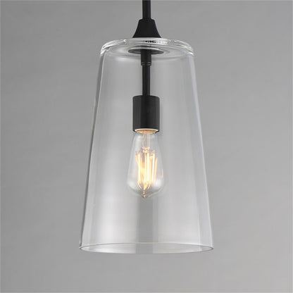 Maxim Lighting Hudson 1 Light 14.5" Single Pendant, Black/Clear