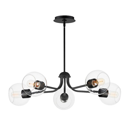 5 Light Chandelier