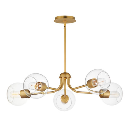 5 Light Chandelier