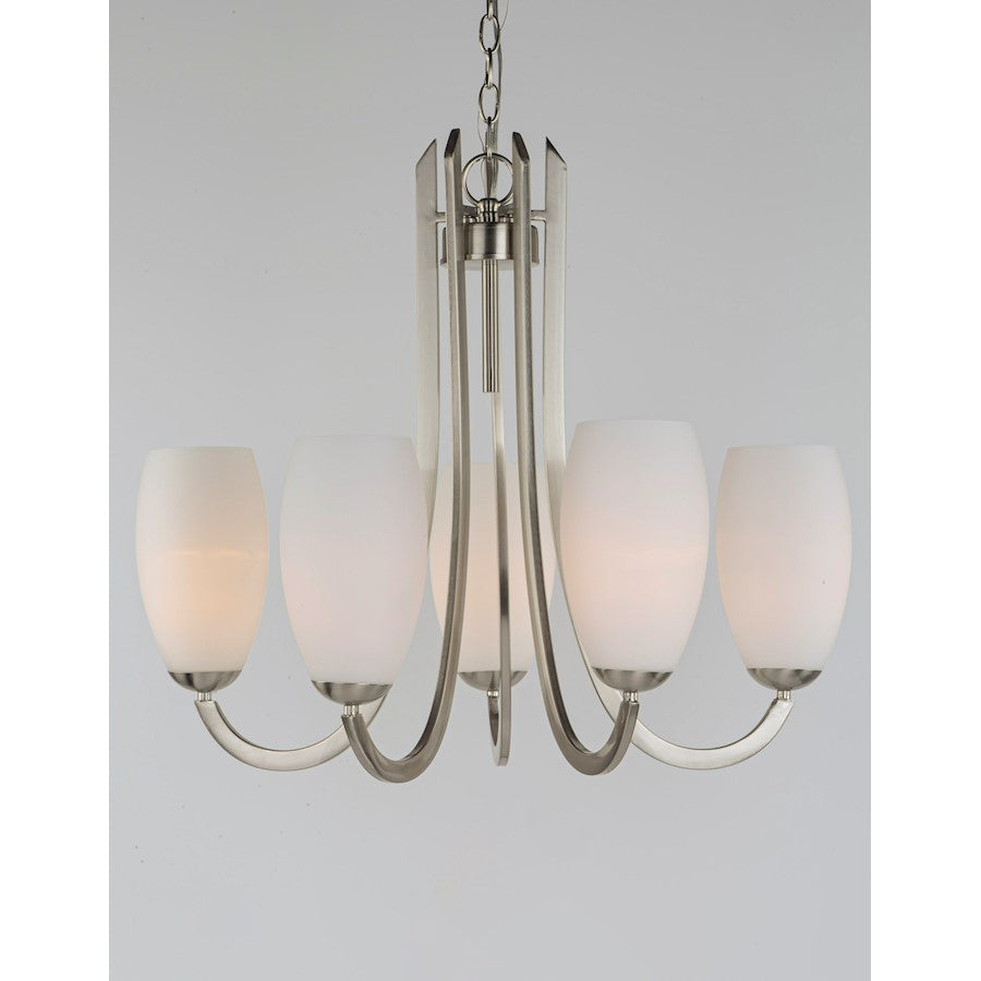 5 Light Chandelier