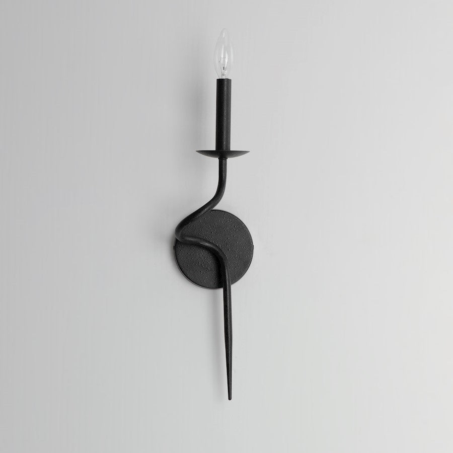 1 Light Wall Sconce