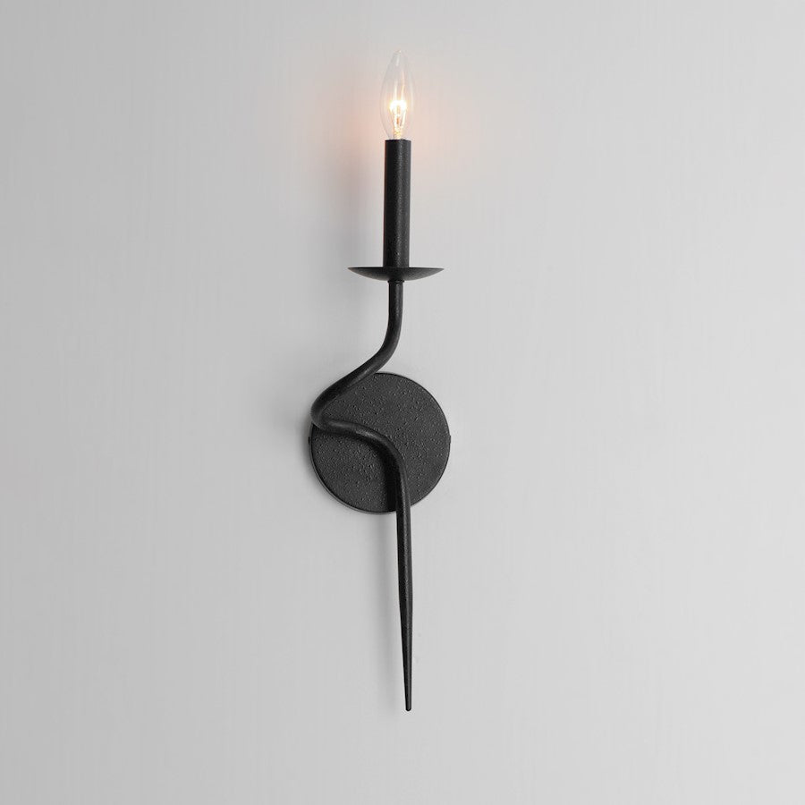 1 Light Wall Sconce