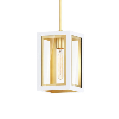 1 Light Outdoor Pendant