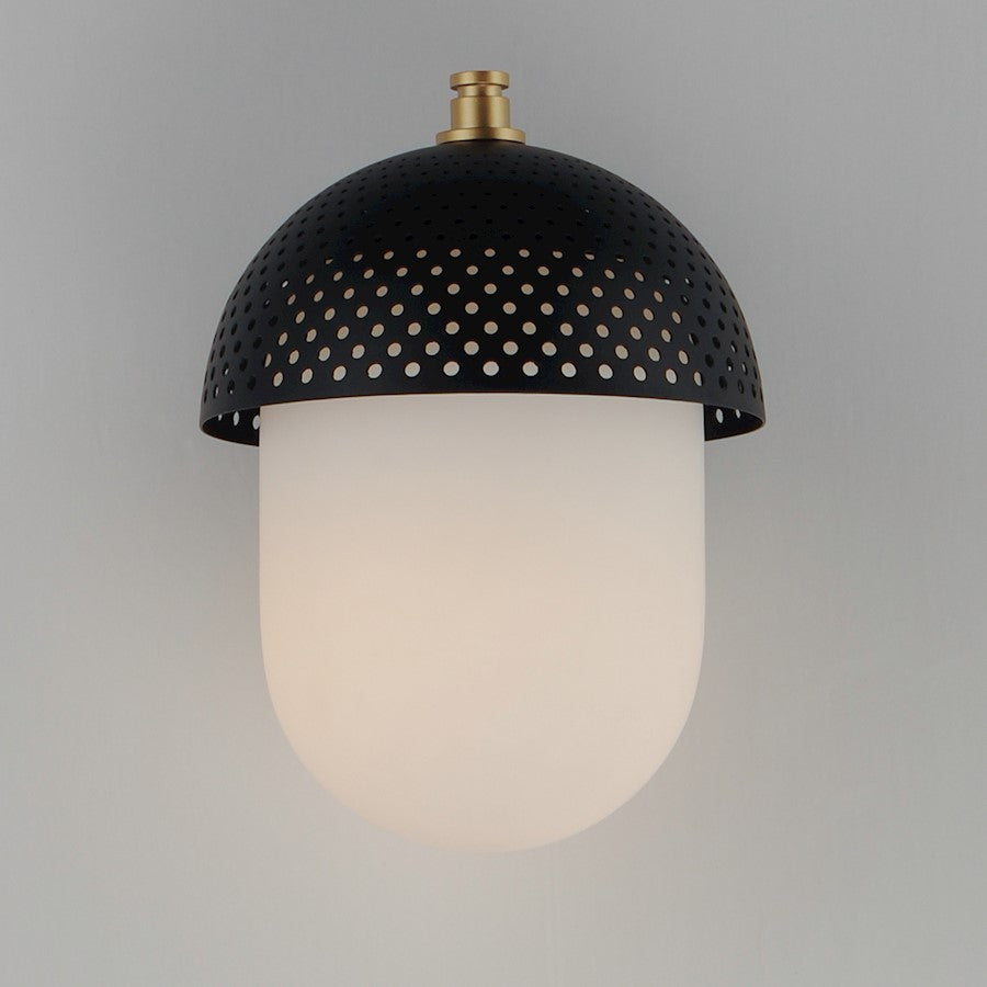 1 Light Outdoor Wall Sconce